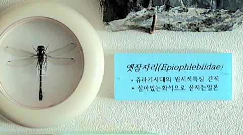옛잠자리
