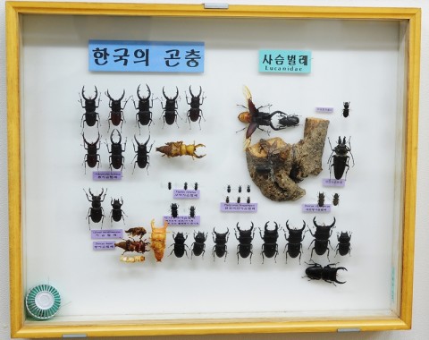 곤충관 전경