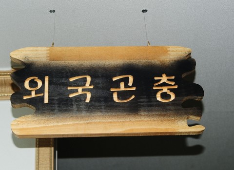 곤충관