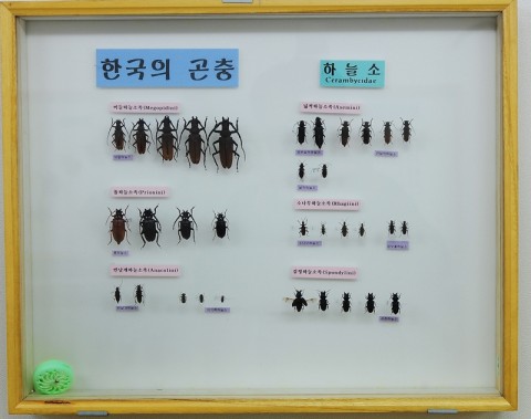 곤충관 전경