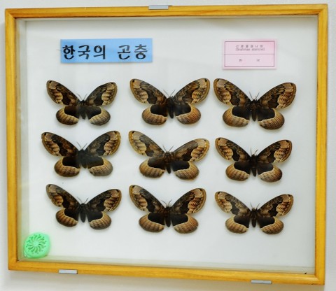 곤충관 전경