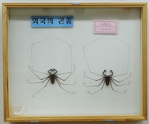 곤충관 전경