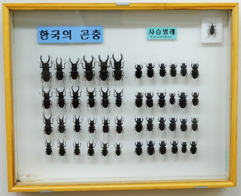 곤충관 전경