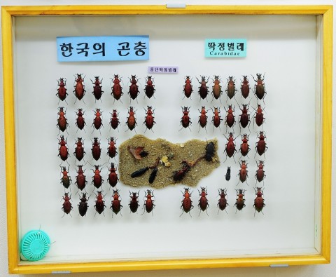 곤충관 전경